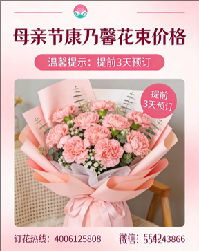 廊坊固安县花店母亲节康乃馨花束