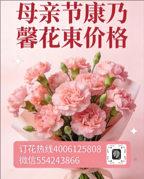 廊坊固安县花店母亲节康乃馨花束